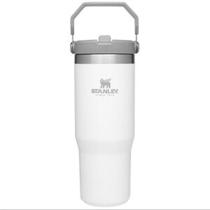 Stanley Flip Straw Tumbler Polar